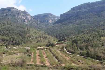 Apartament A Capafonts - "Ribatell" Luaran gambar